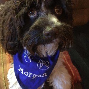 Meet your Posher, Kelly